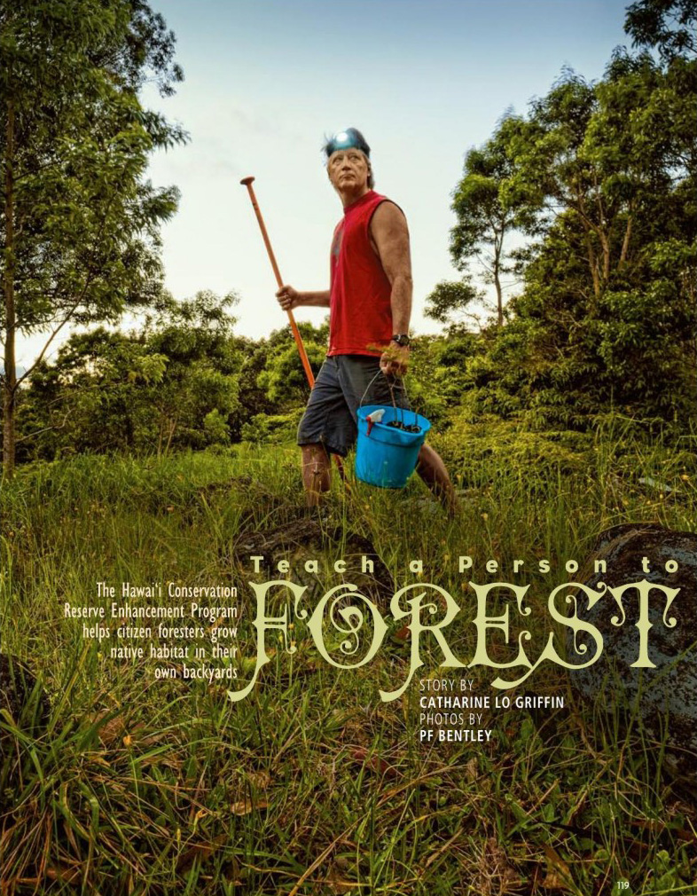 Hana Hou Magazine cover featuring forest restoration